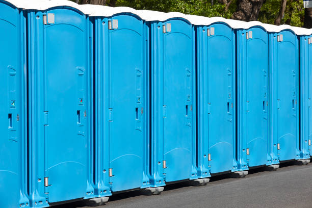 Best Portable Toilets for Parks and Recreation Areas in Shannon, GA